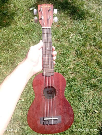 Ukulele Set for Sale
