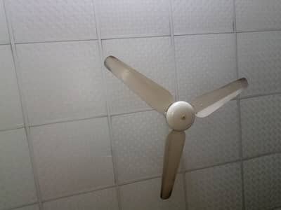Ceiling Fan for Sale