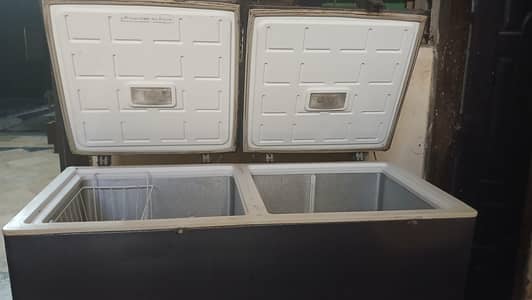 twin door pel freezer