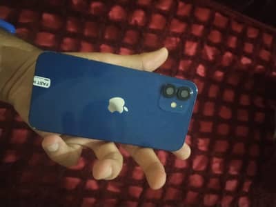 Apple iPhone 12 urgent sale ‼