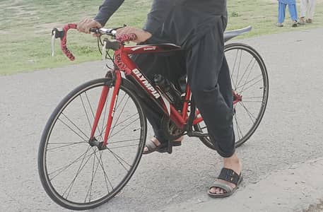 Olympia Shimano Bicycle
