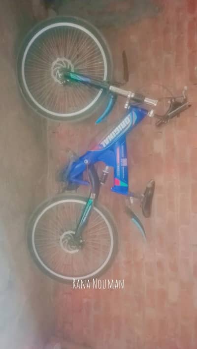 blue colour brand cycle