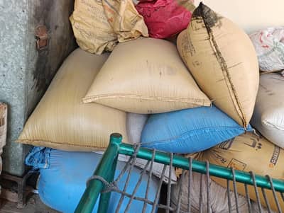 20 man gandum wheat for sale