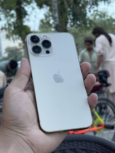 Apple iPhone 13 Pro Max
