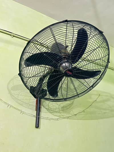 Royal Fan in genuine condition