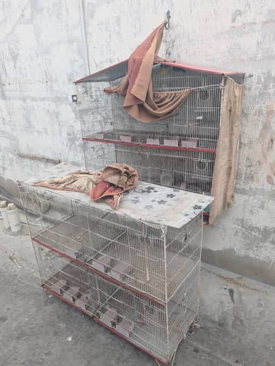 8 portion cage (pinjra)