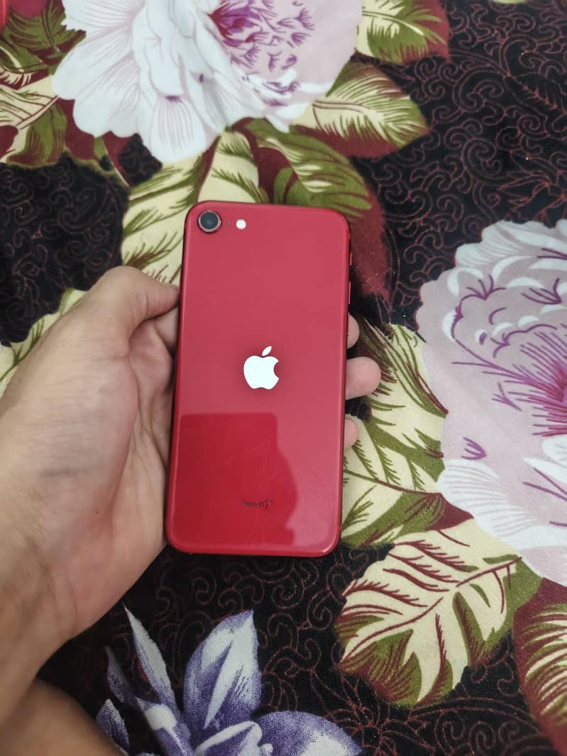 iphone 5