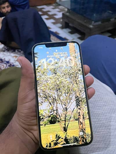 Apple iPhone 12 Pro Max
