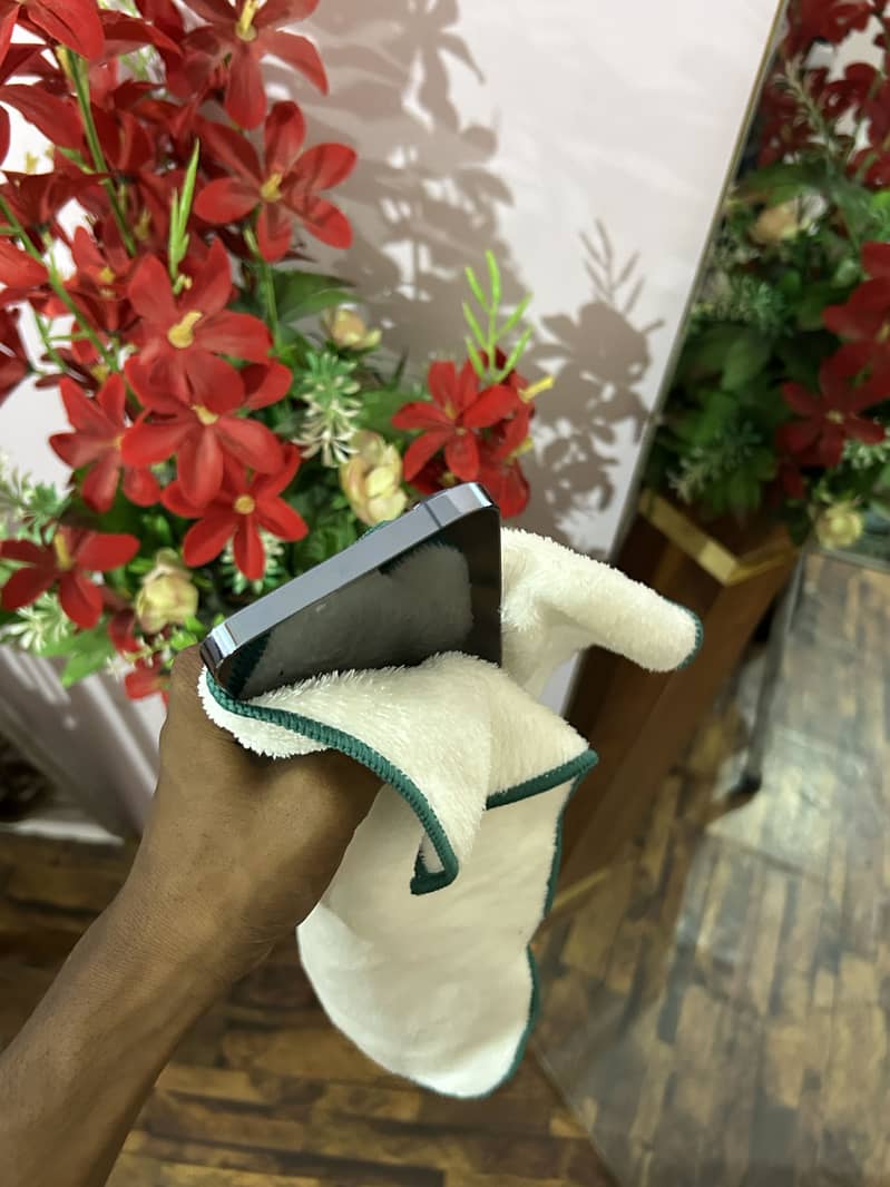 iPhone 13pro Max 1