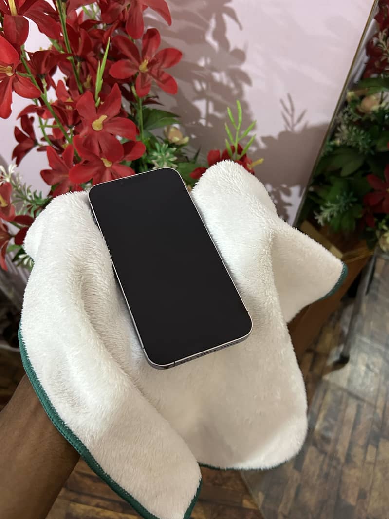 iPhone 13pro Max 3