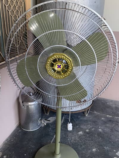 Pak fan