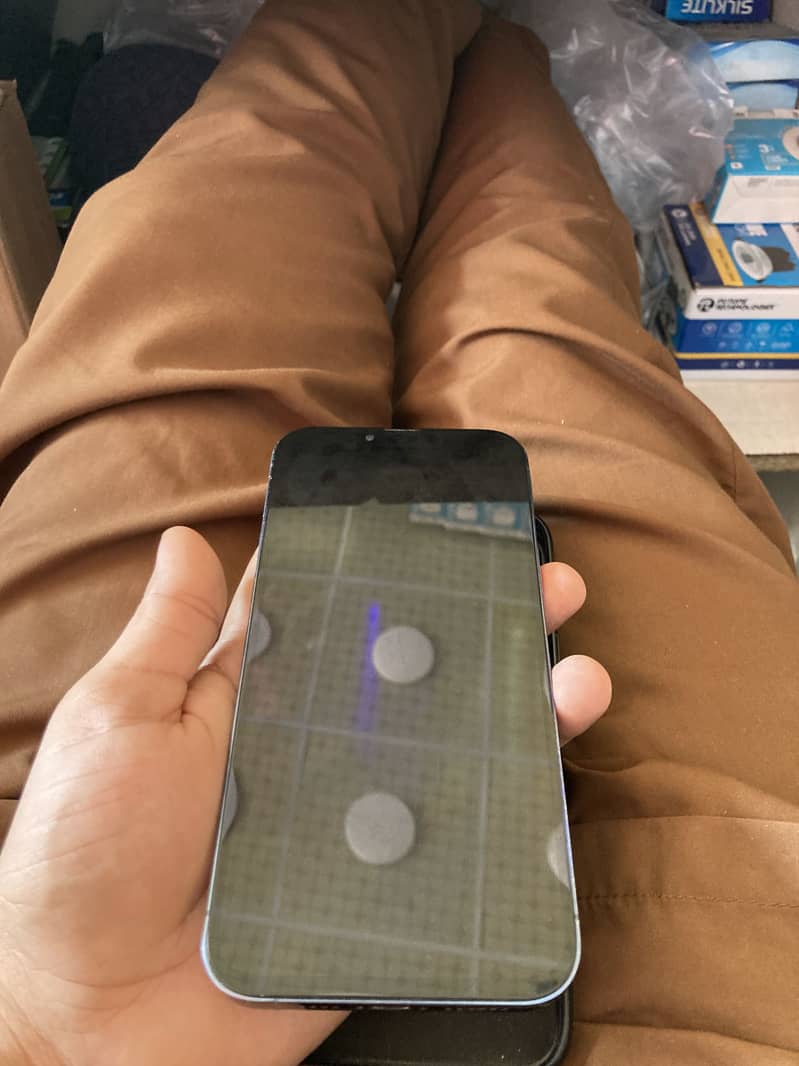 Apple iPhone 13 Pro Max 1