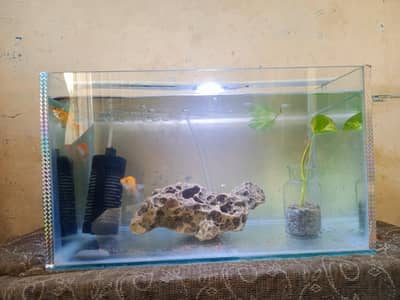 Aquarium