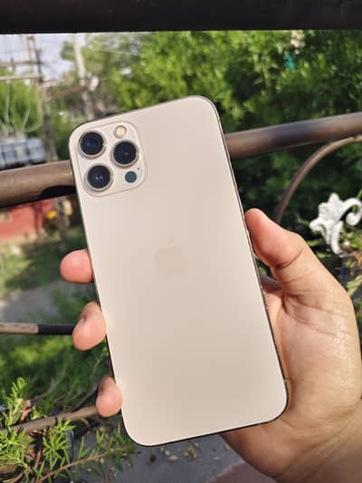 Apple iPhone 12 Pro Max PTA Approved 256 GB