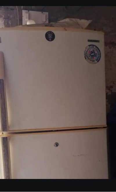 Samsung Fridge