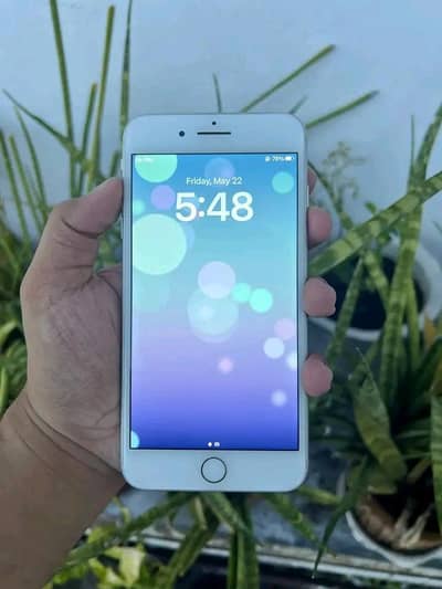 Iphone 8plus pta approved 256gb My Whatsapp number 0309-37-13_656