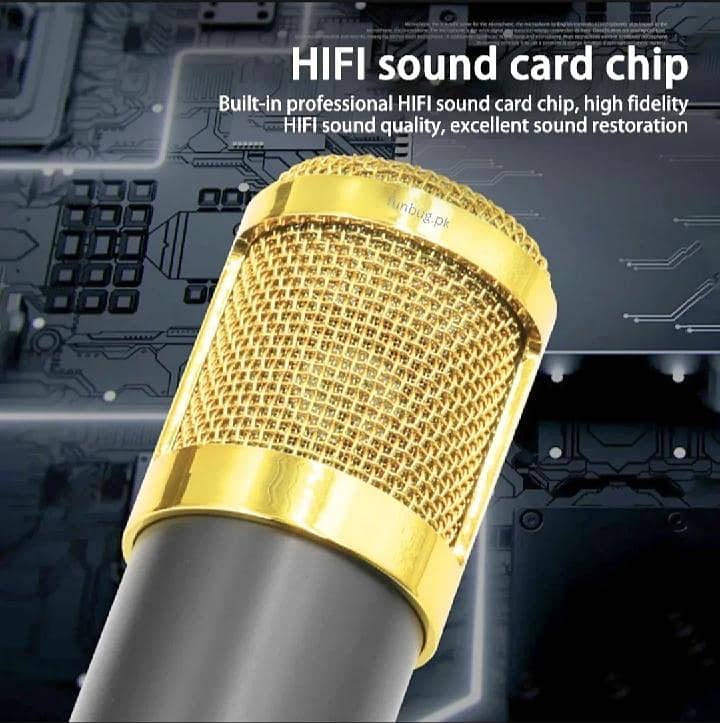 Microphone 1