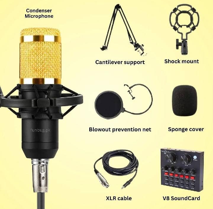 Microphone 3
