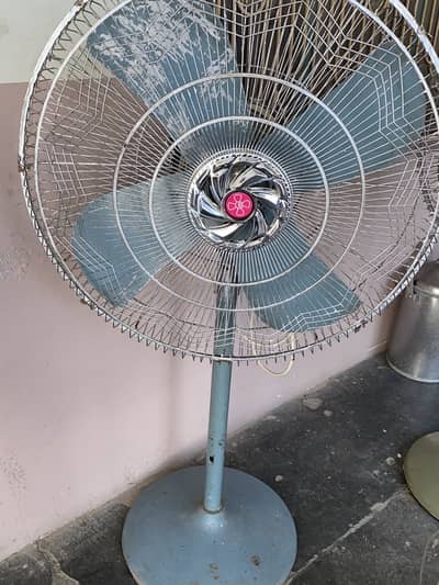 Pak fan