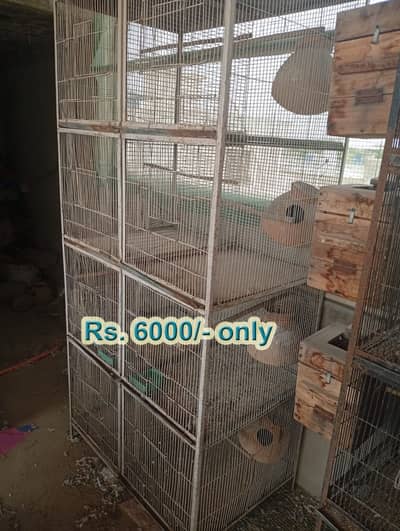 Bird Cages for Sale – Available at Reasonable Prices | Pinjra For Sale