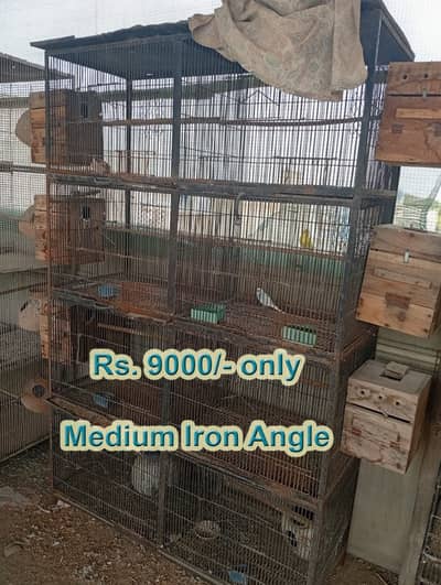 Bird Cages for Sale – Available at Reasonable Prices | Pinjra For Sale