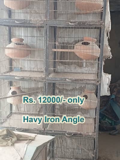 Bird Cages for Sale – Available at Reasonable Prices | Pinjra For Sale