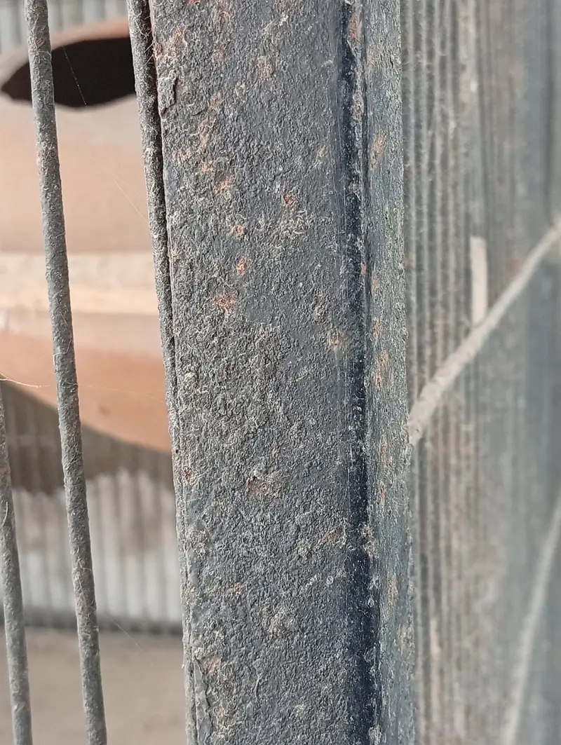 Bird Cages for Sale – Available at Reasonable Prices | Pinjra For Sale — photo 11