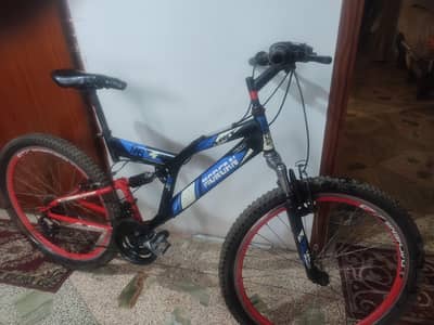 sports cicale