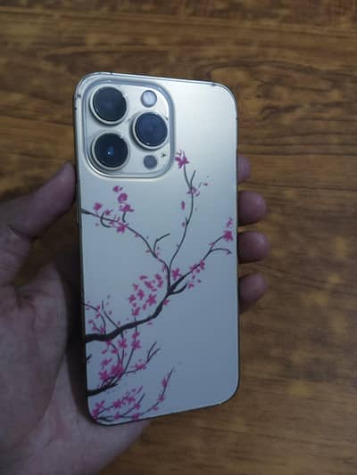 Apple iPhone 13 Pro