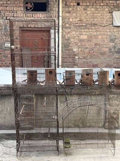 Cage available and box