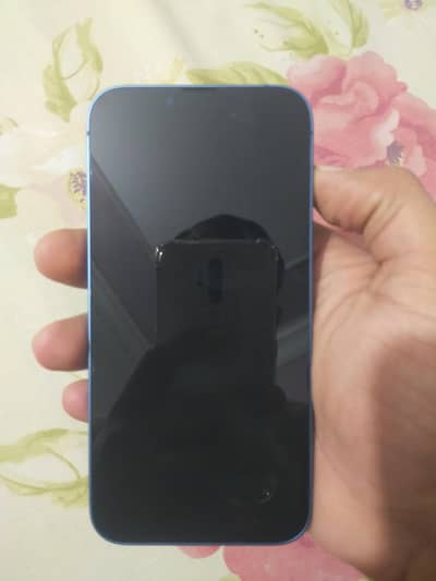 Apple iPhone 13