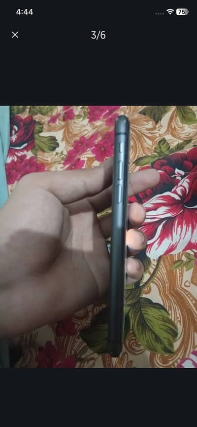 IPhone 11 all okay