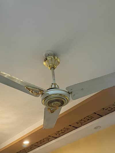 Two fans in a good condition for sale