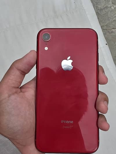 Apple i phone XR Exchange Possible Face id True Trone ok Non pta 64 Gb