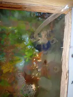 Beautiful small aquarium of fish (urgent sale) — photo 2