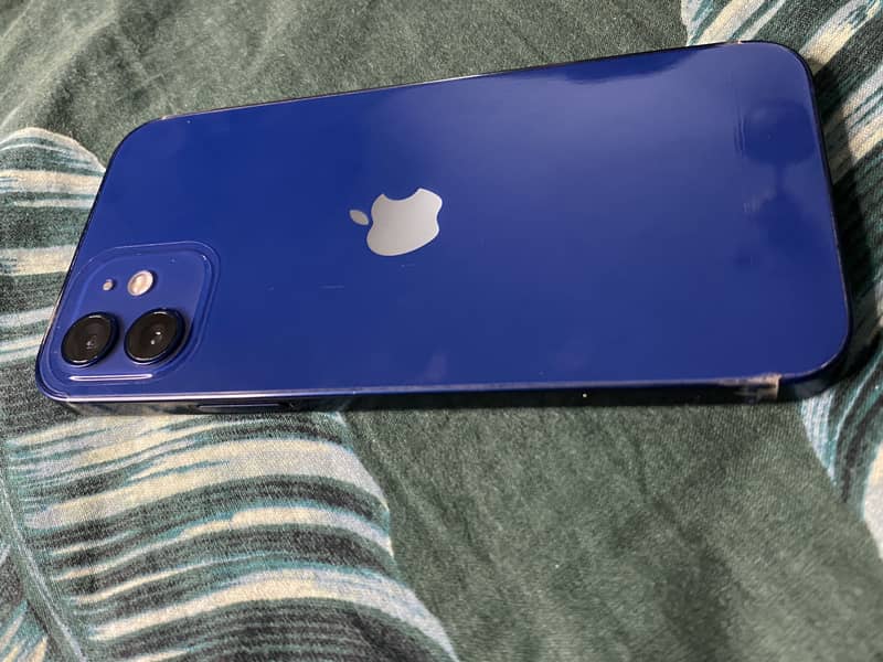 Apple iPhone 12 1