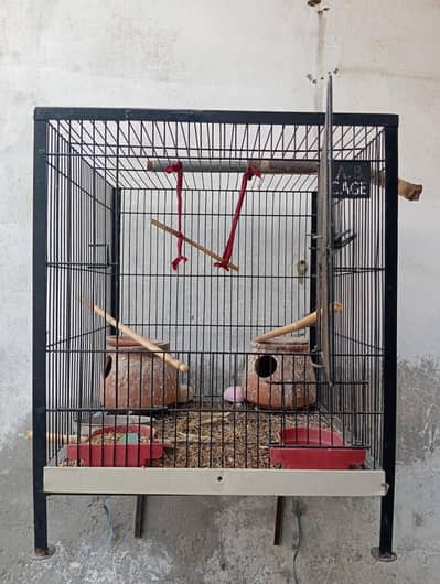 Birds cage