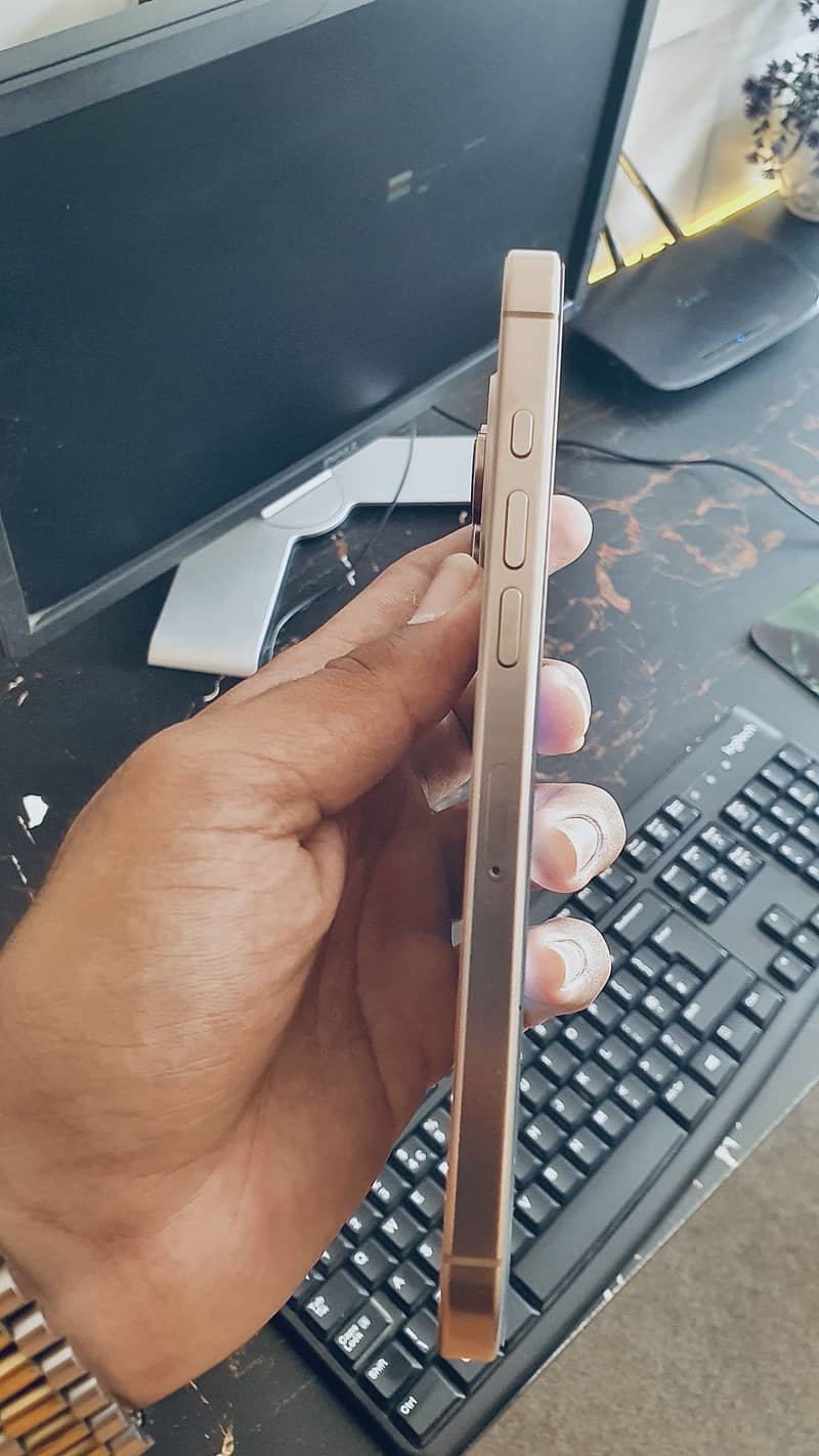 Apple iPhone 16 Pro Max 2