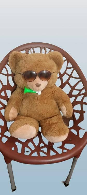 Teddy bear