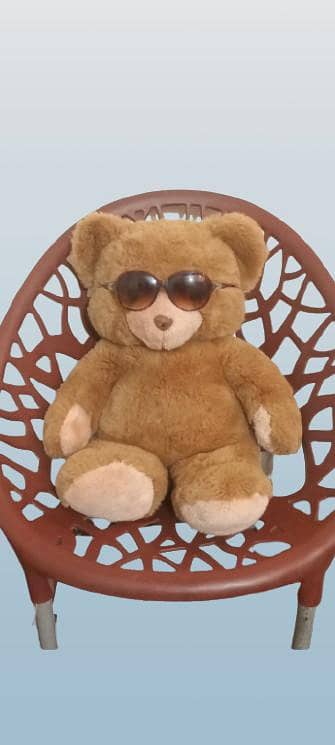 Teddy bear 1