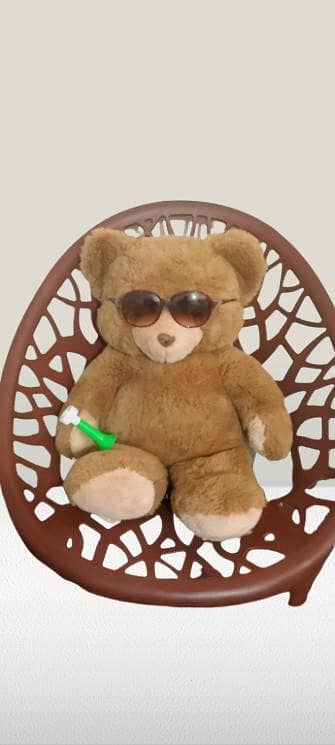 Teddy bear 2