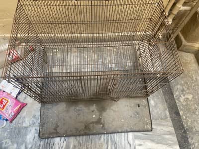 Cage for birds