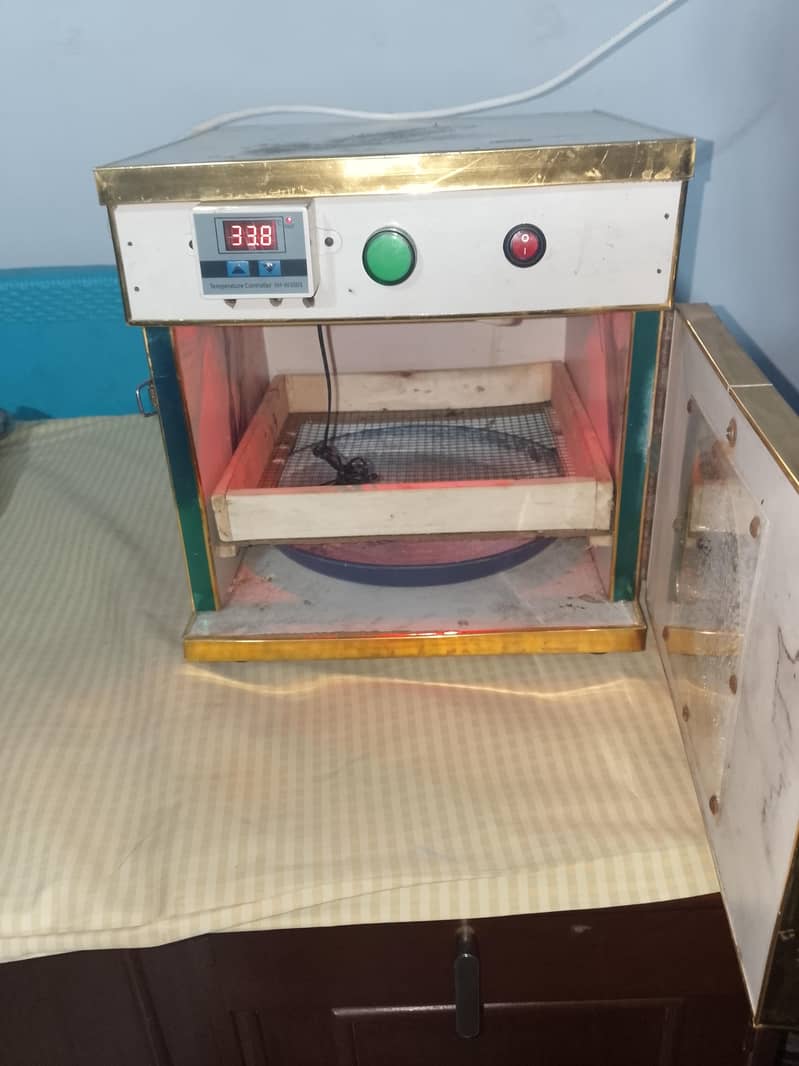 incubator 3