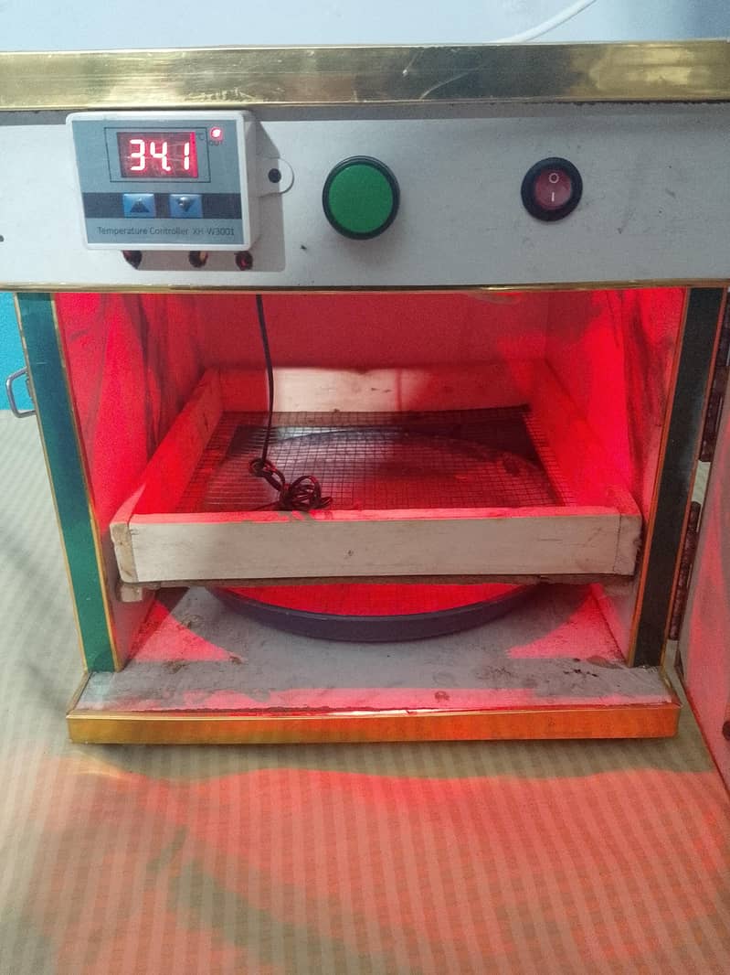 incubator 4