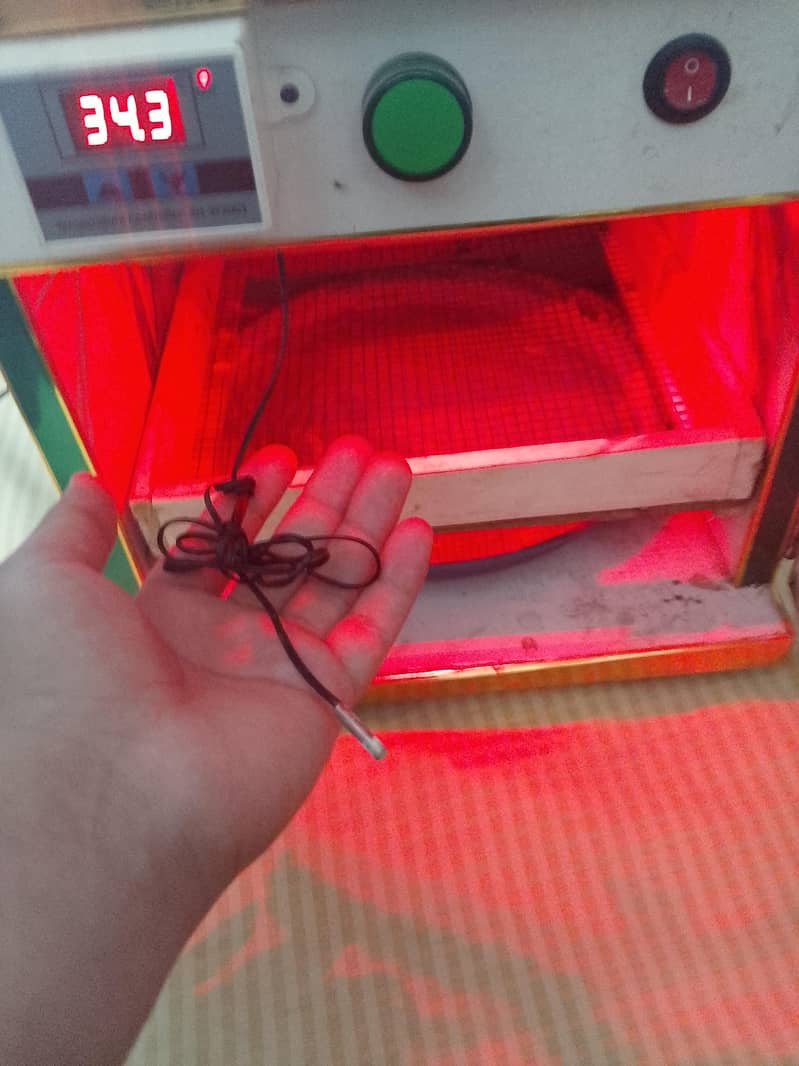 incubator 5