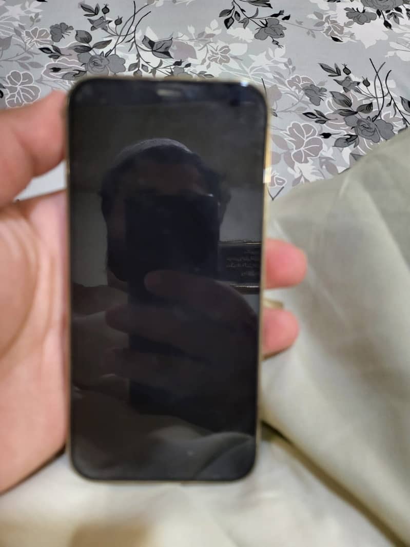 Apple iPhone 12 Pro 0