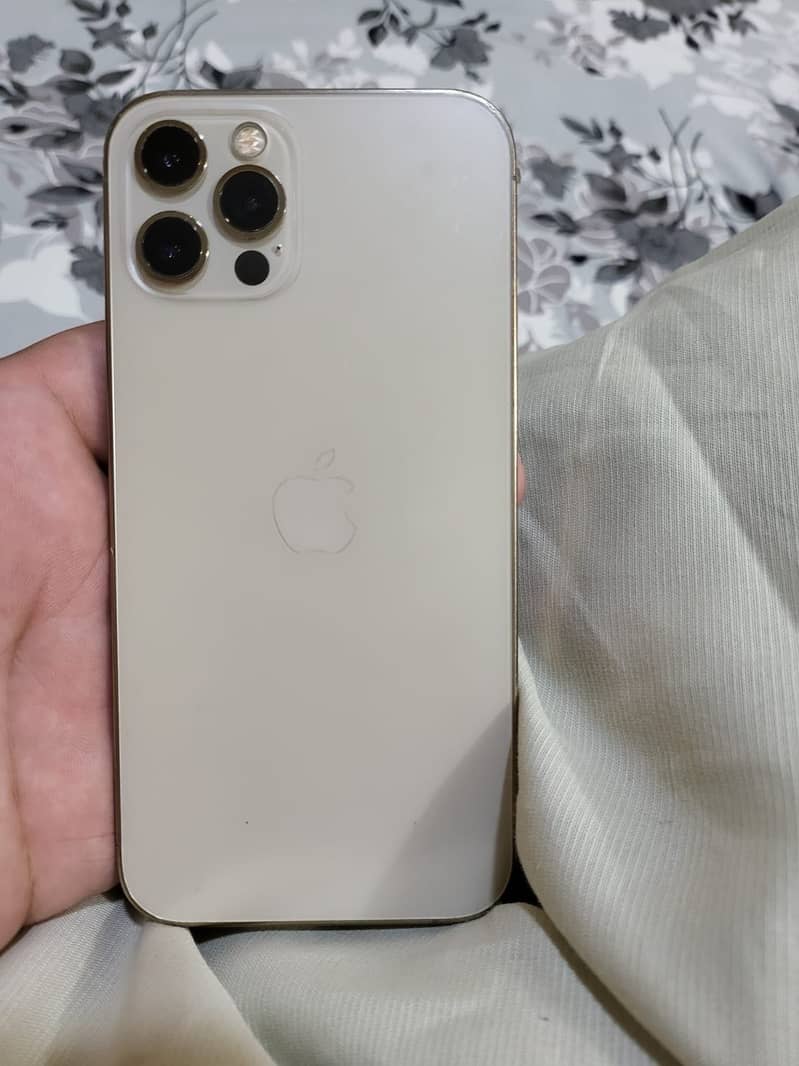 Apple iPhone 12 Pro 1