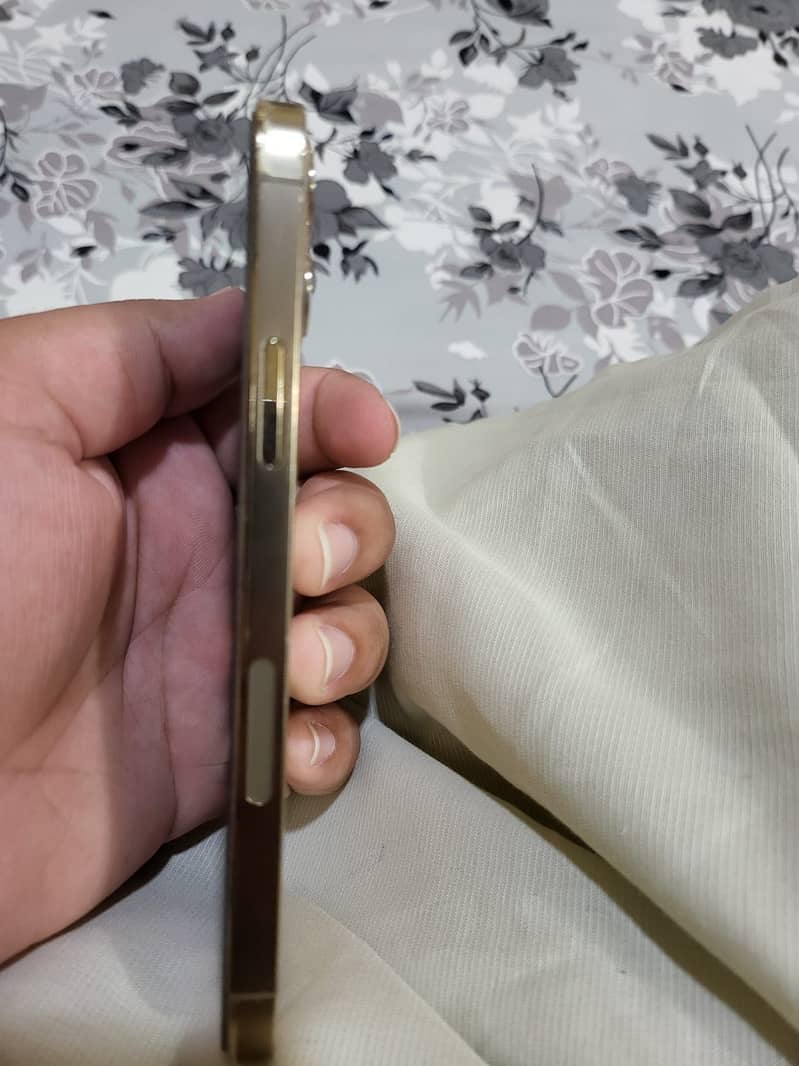 Apple iPhone 12 Pro 3