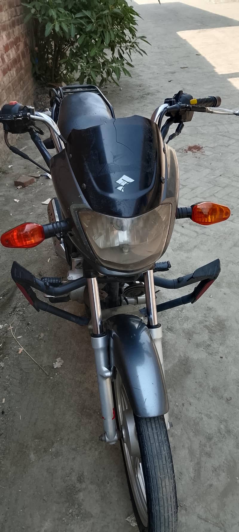 suzuki 2