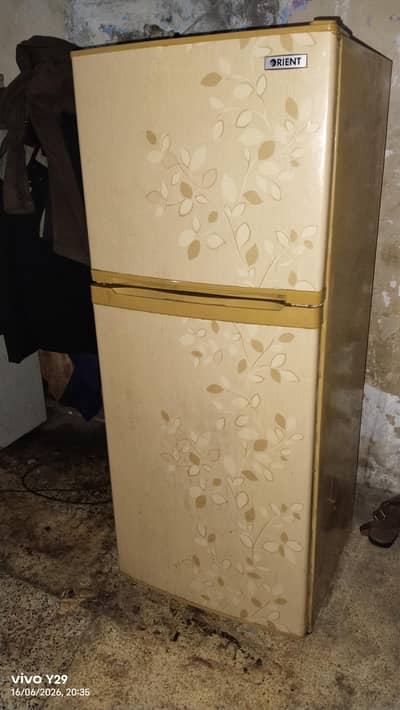 orient and waves fridge